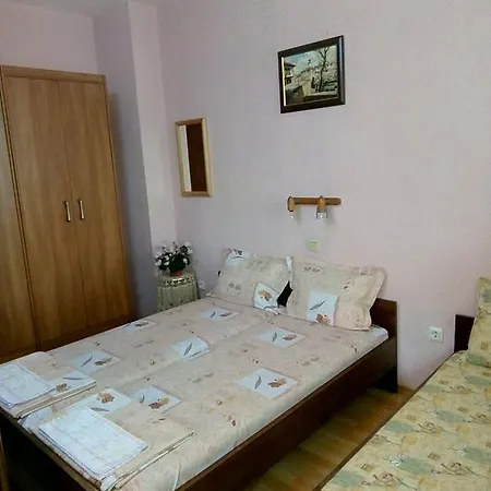 панорамна гледка *
